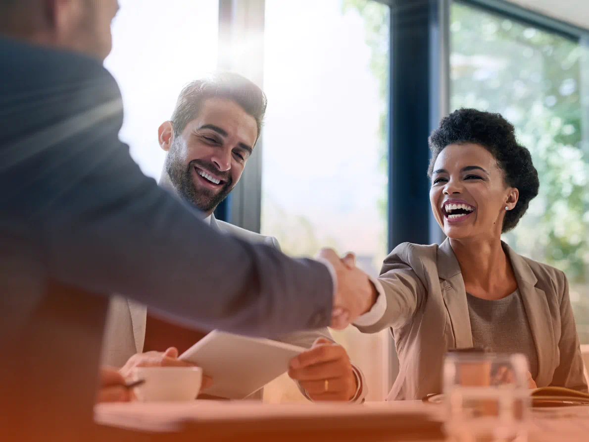 Professionals shaking hands